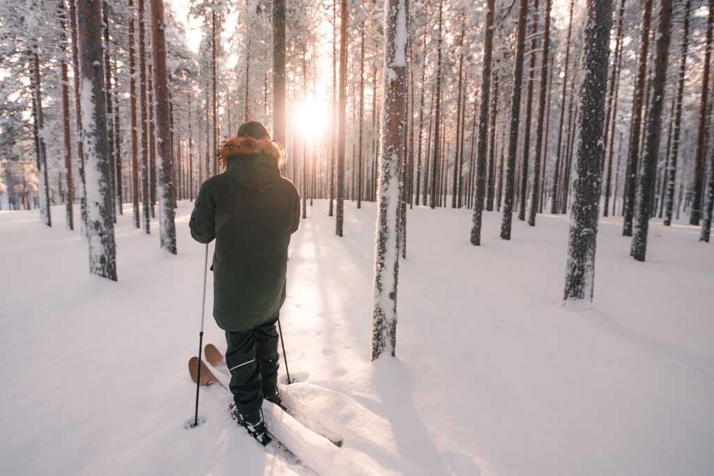 Gliding through the serene, snow-draped forest on snowshoes.
