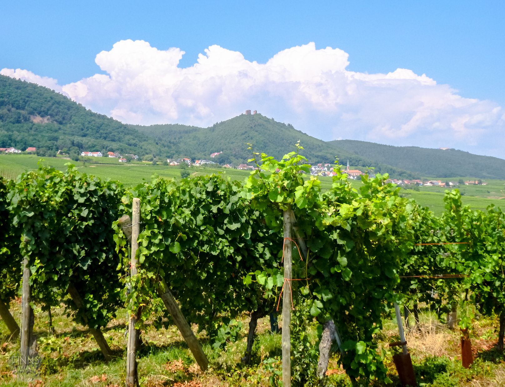 Vineyards and old villages in Alsace, France