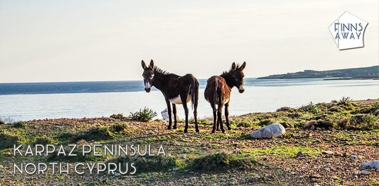 Karpasia in Northern Cyprus is a great destination for a road trip and seeing historical sites, pure nature, sleepy villages and wild Cyprus donkeys. | FinnsAway Travel Blog
