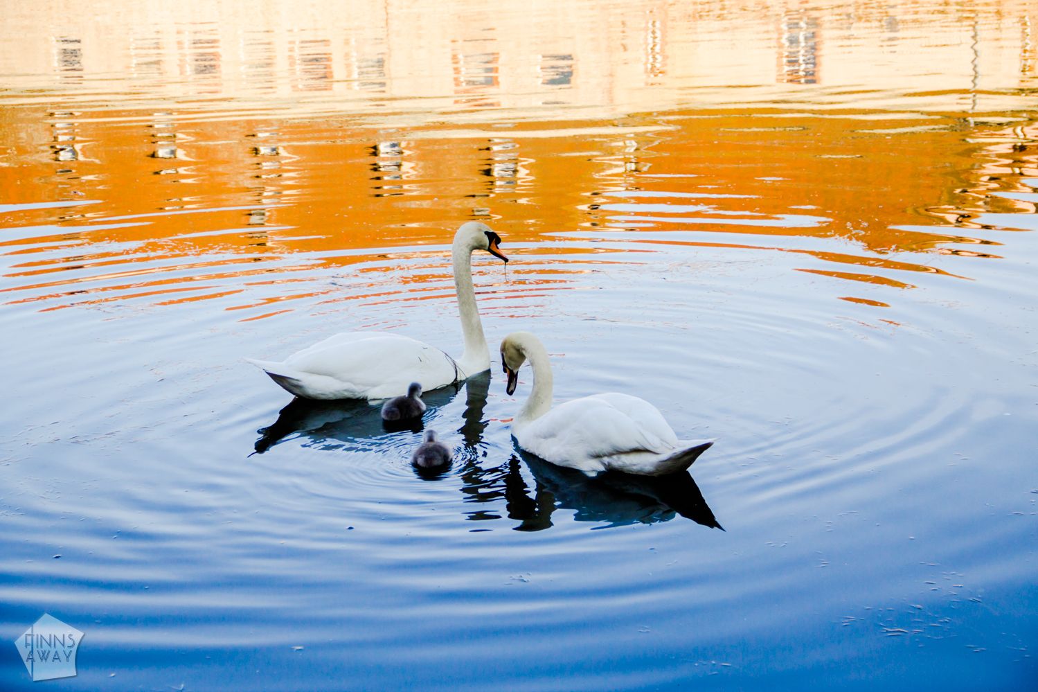 The historical center of Strasbourg is beautiful; half-timbered houses, canals and medieval bridges in Petite France, and the outstanding Cathedral of Our Lady. | FinnsAway Travel Blog
