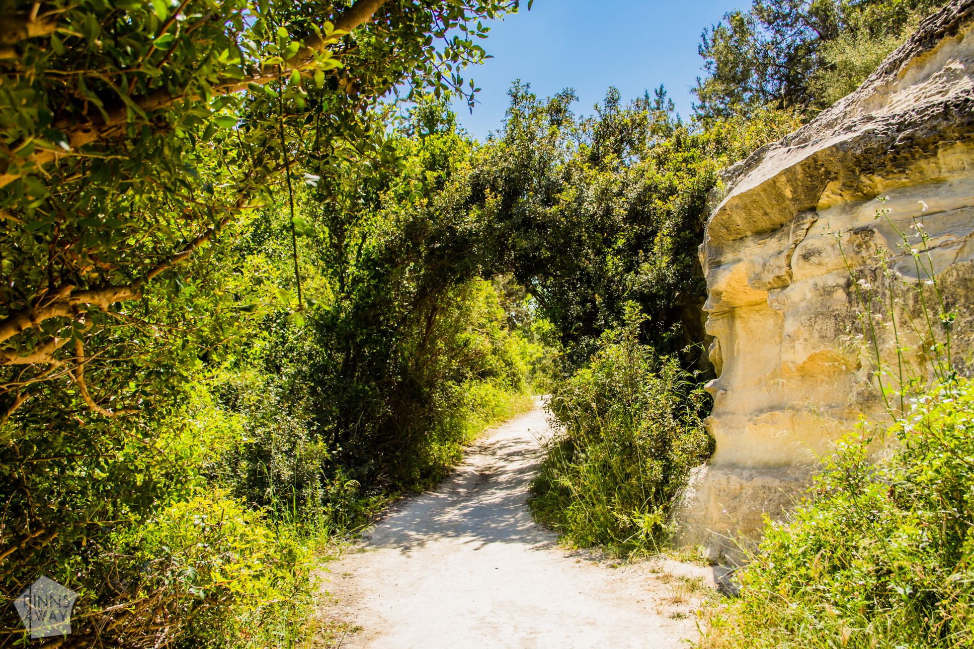 Hiking in Avakas Gorge in Paphos district, Cyprus | FinnsAway Travel Blog