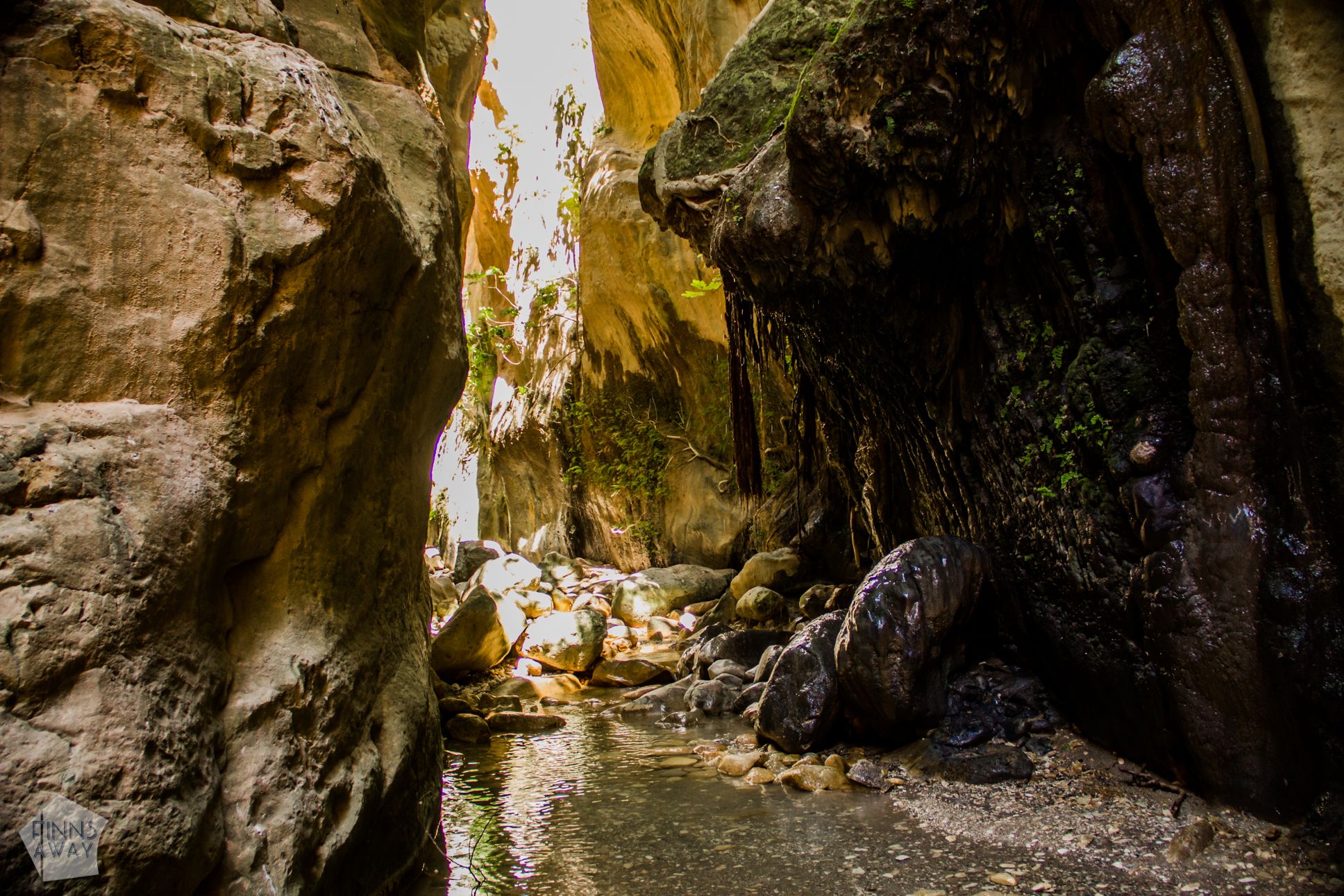Hiking in Avakas Gorge in Paphos district, Cyprus | FinnsAway Travel Blog
