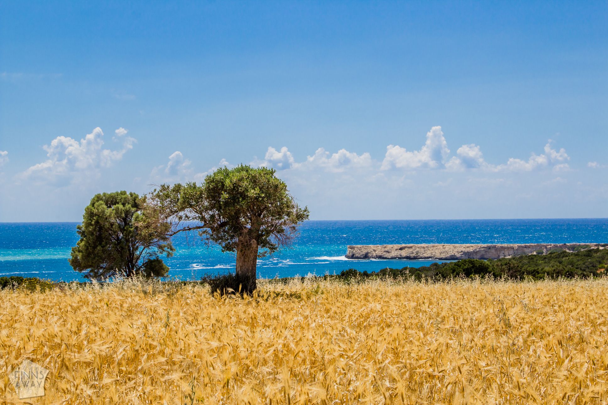 Beautiful scenery near Lara Beach in Paphos district, Cyprus | FinnsAway Travel Blog