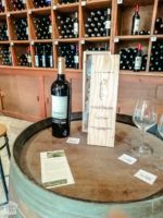 Tasting wine in Blaye Citadel | FinnsAway Travel Blog