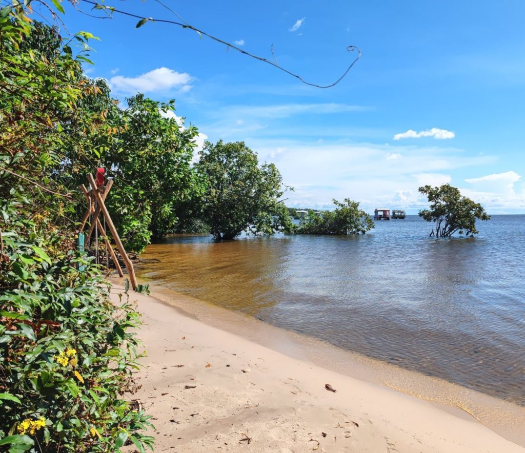 | Brazil | Amazon riverboat from Manaus to Santarém to Belém | Life as a Nomad