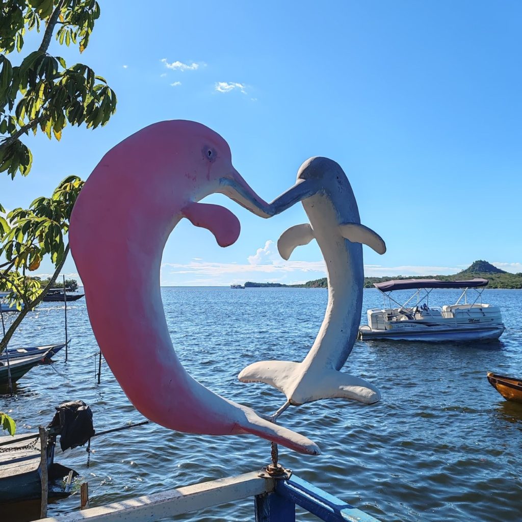 | Brazil | Amazon riverboat from Manaus to Santarém to Belém | Life as a Nomad