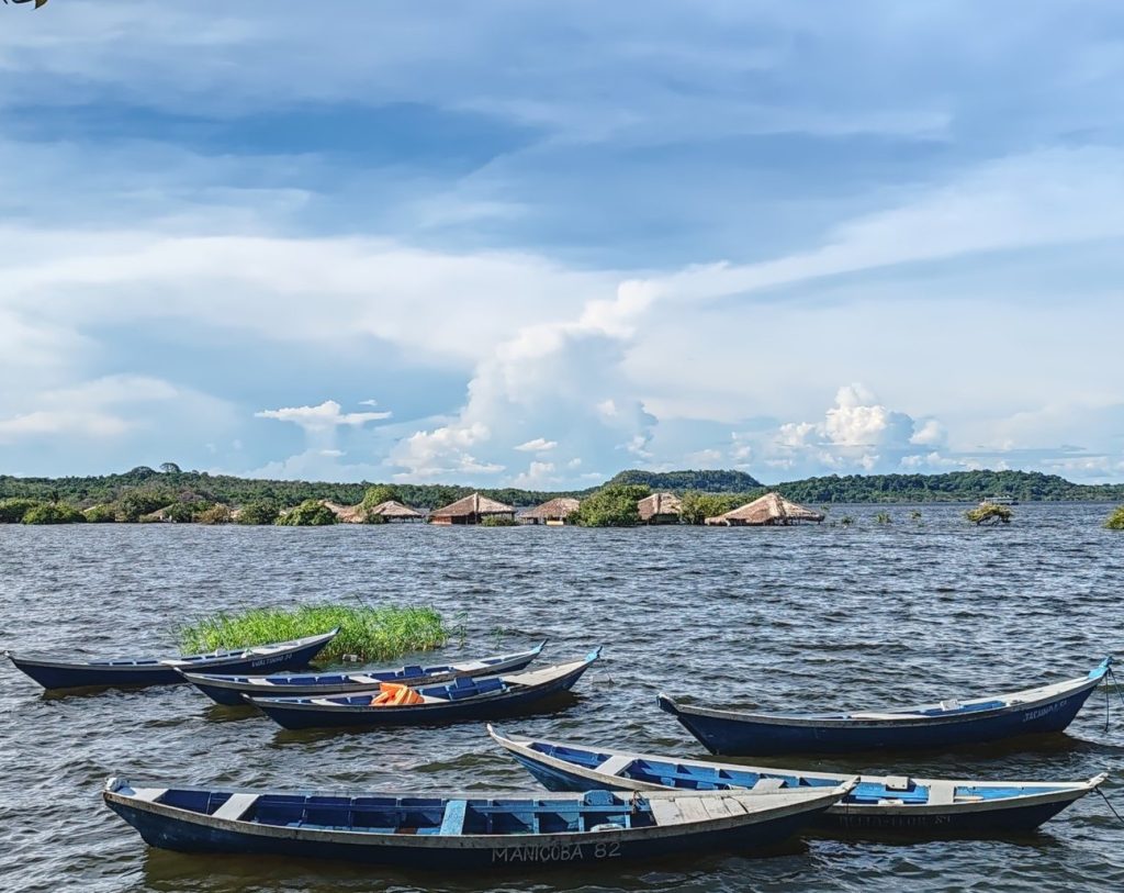 | Brazil | Amazon riverboat from Manaus to Santarém to Belém | Life as a Nomad