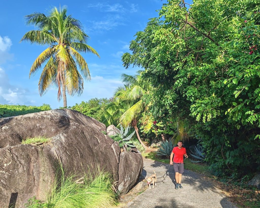 Dog walking | Stunning beaches of Virgin Gorda in the British Virgin Islands | Elämää Nomadina blog