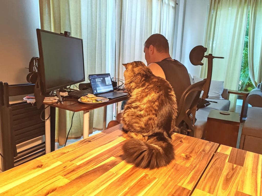 Pet Sitting, Dominicus | Dominican Republic | Elämää Nomadina