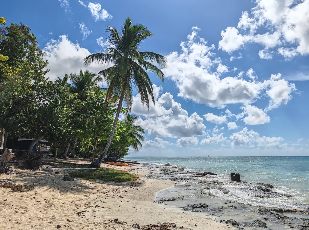 Beach of Cotubanamá National Park | Dominican Republic | Elämää Nomadina