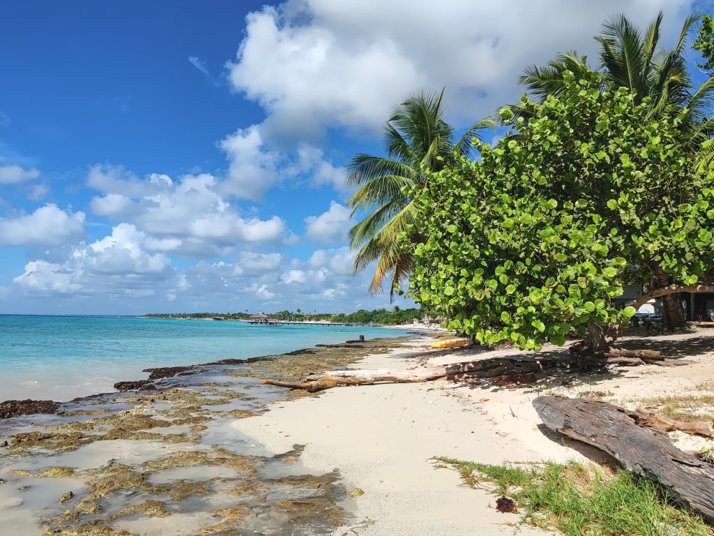 Beach of Cotubanamá National Park | Dominican Republic | Elämää Nomadina
