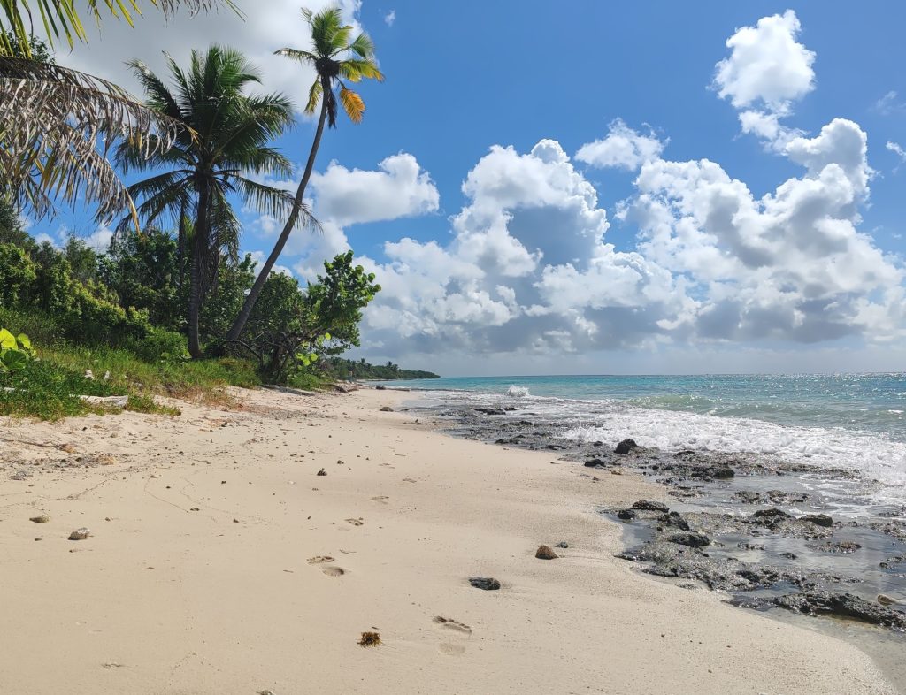 Beach of Cotubanamá National Park | Dominican Republic | Elämää Nomadina