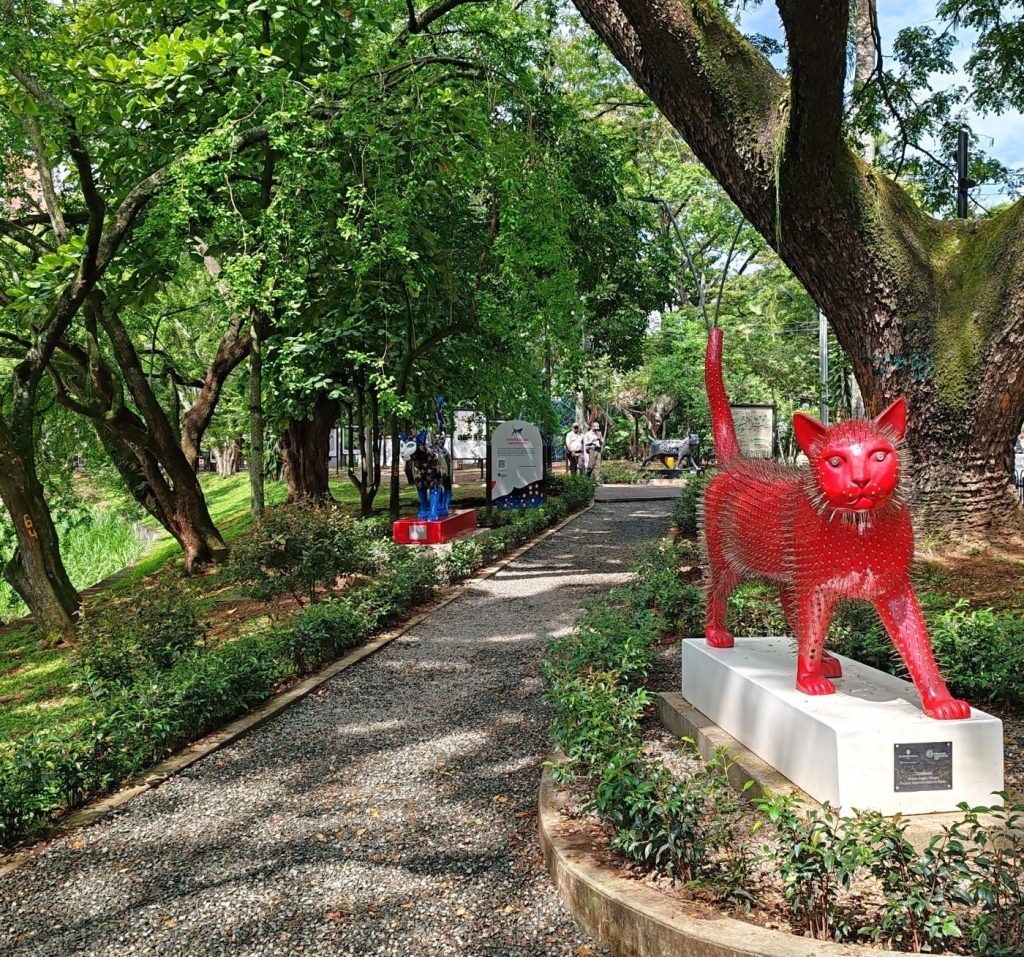 Parque de los Gatos 'cat park', Cali | Colombia | Elämää Nomadina blog
