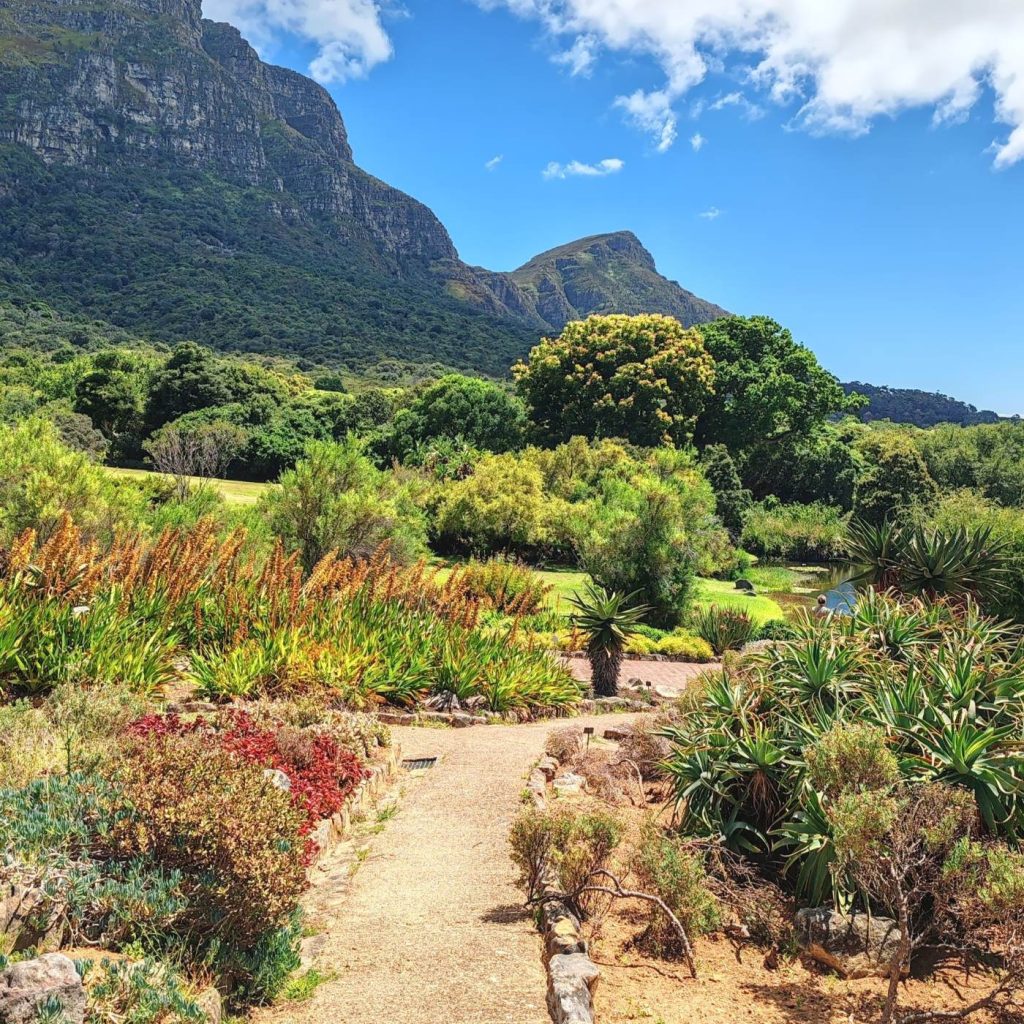 Kirstenbosch Botanical Garden | Cape Town is South Africa's most beautiful city destination | Elämää Nomadina blog