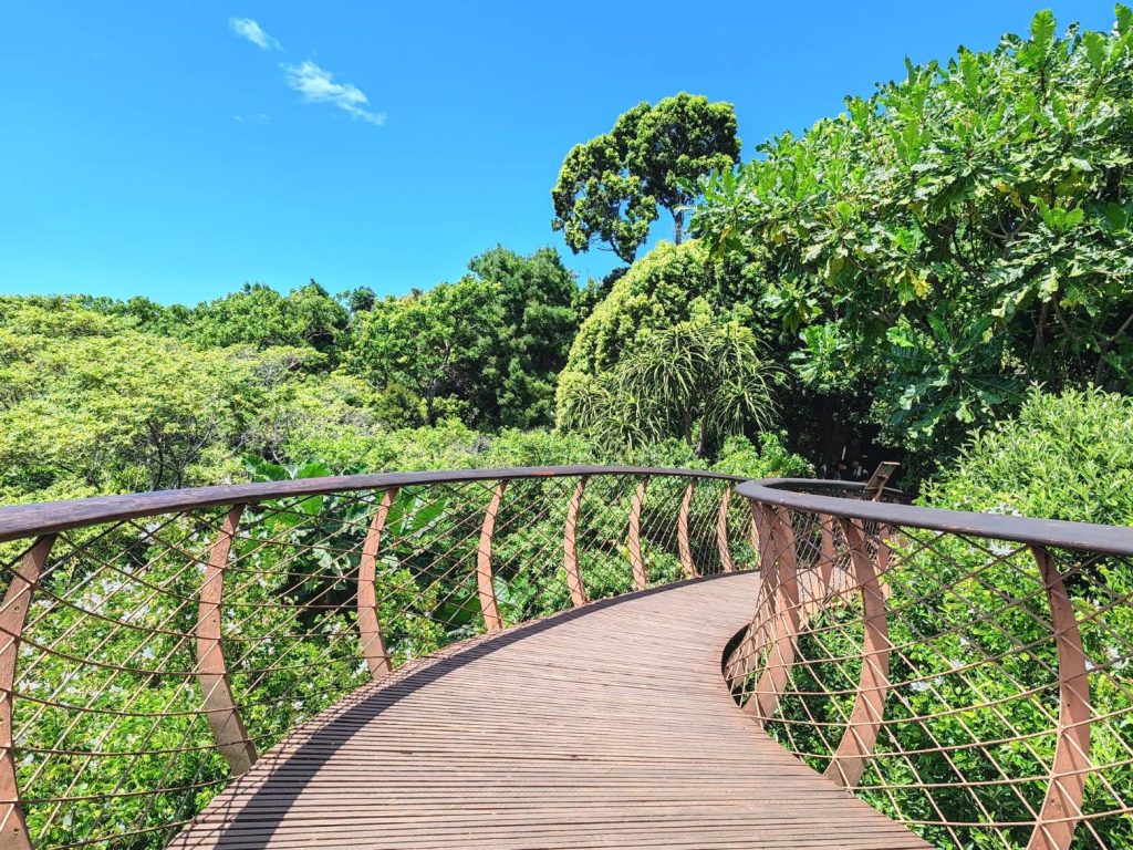 Canopy bridge in Kirstenbosch Botanical Garden | Cape Town is South Africa's most beautiful city destination | Elämää Nomadina blog