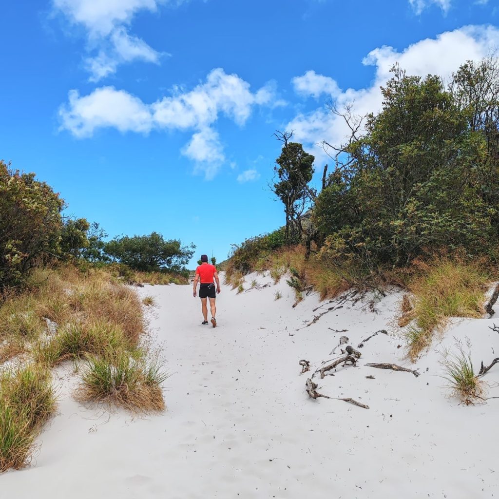 Hiking on Table Mountain | Cape Town is South Africa's most beautiful city destination | Elämää Nomadina blog