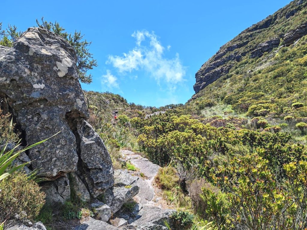 Hiking scenery on Table Mountain | Cape Town is South Africa's most beautiful city destination | Elämää Nomadina blog