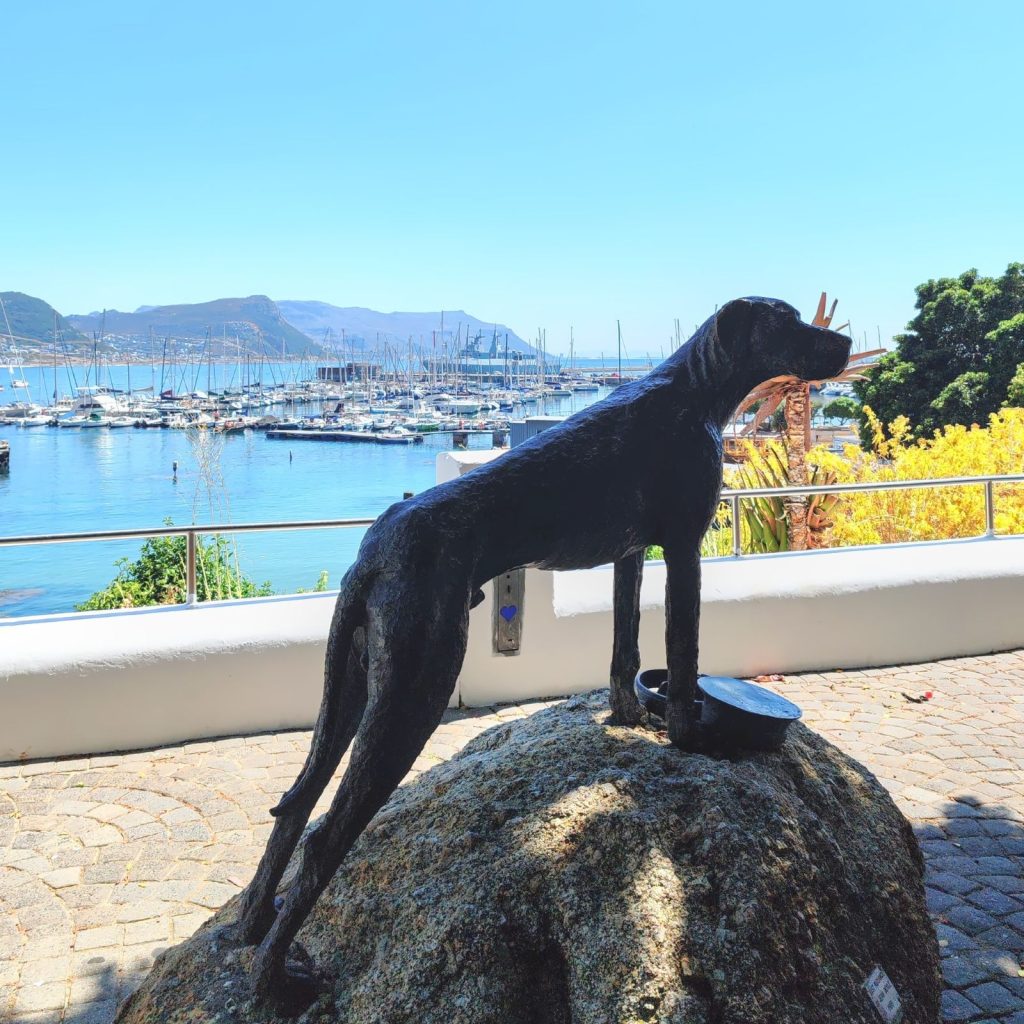 Just Nuisance statue in Simon's Town | Cape Town is South Africa's most beautiful city destination | Elämää Nomadina blog