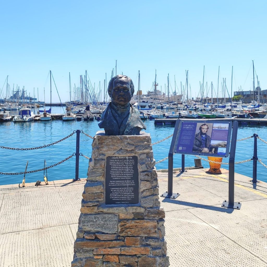 Charles Darwin monument in Simon's Town | Cape Town is South Africa's most beautiful city destination | Elämää Nomadina blog