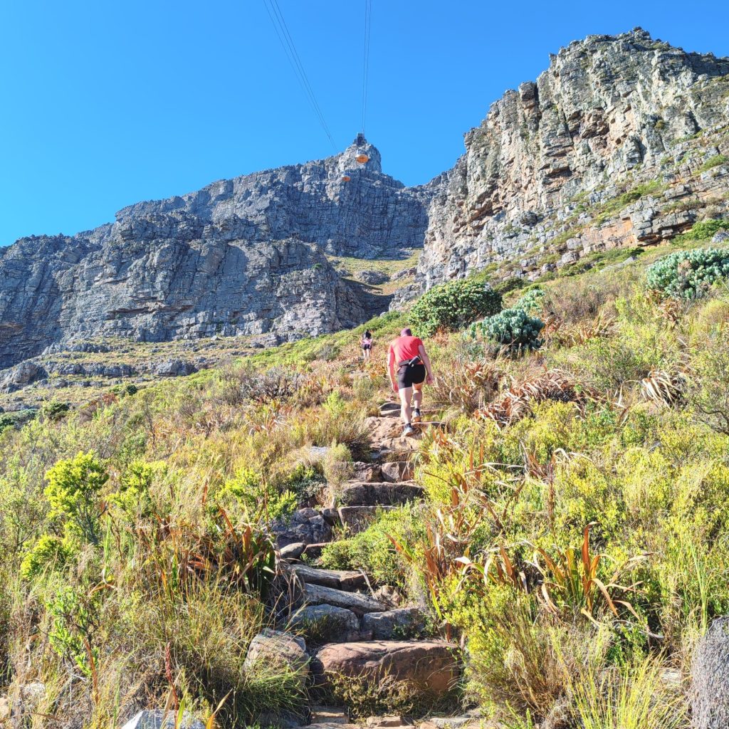 Hiking scenery on Table Mountain | Cape Town is South Africa's most beautiful city destination | Elämää Nomadina blog