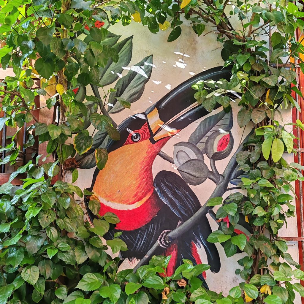 Street art in Cartagena | Colombia | Elämää Nomadina blog