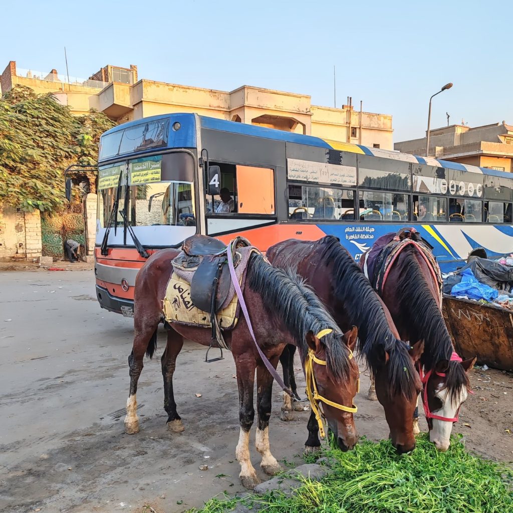 Pyramidi-Gizan katumaisemaa | Giza ja Kairo, Egypti | Elämää Nomadina