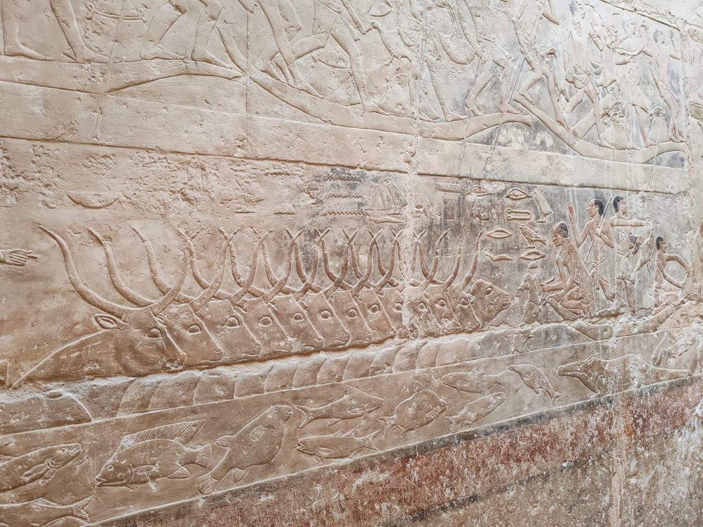 Reliefeja hautakammiossa Sakkarassa | Giza ja Kairo, Egypti | Elämää Nomadina
