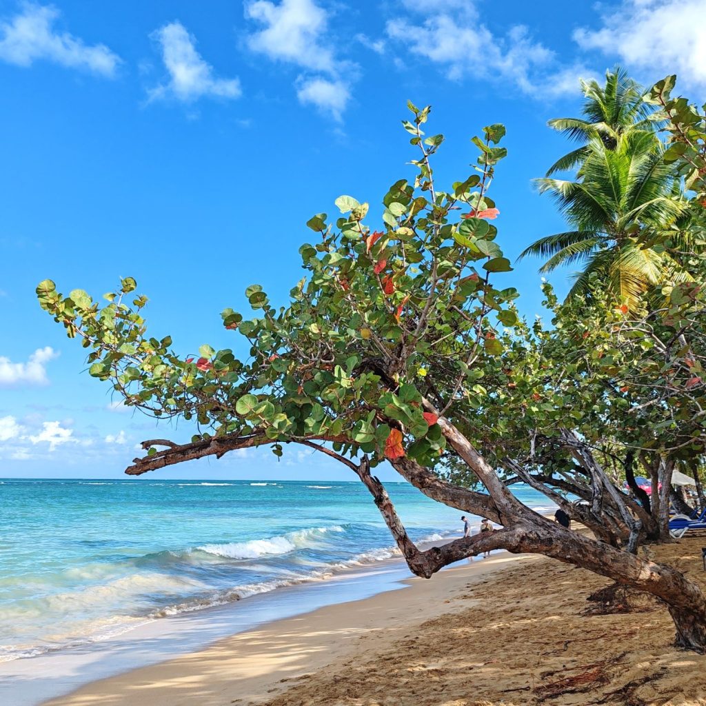 Beach scenery in Las Terrenas | Dominican Republic; Boca Chica and Samaná Peninsula | Elámää Nomadina blog