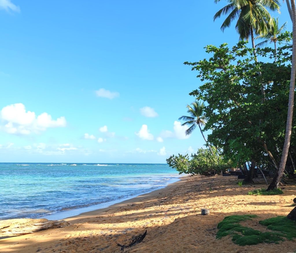 Playa Mar Gorda, Las Terrenas | Dominican Republic; Boca Chica and Samaná Peninsula | Elámää Nomadina blog