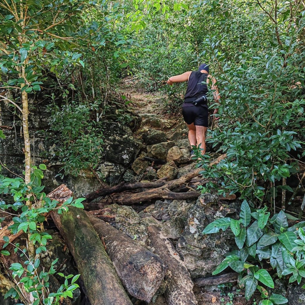 Trail between beaches in Las Terrenas | Dominican Republic; Boca Chica and Samaná Peninsula | Elámää Nomadina blog