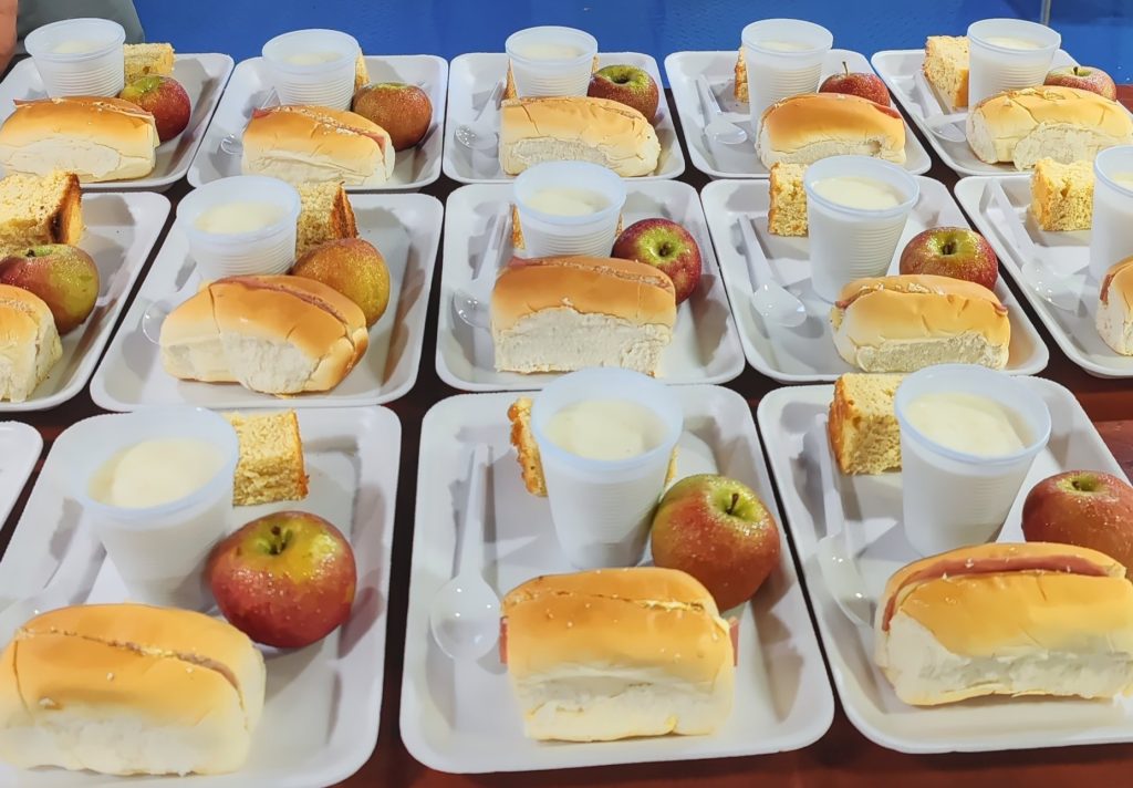 | Brazil | Amazon riverboat from Manaus to Santarém to Belém | Life as a Nomad