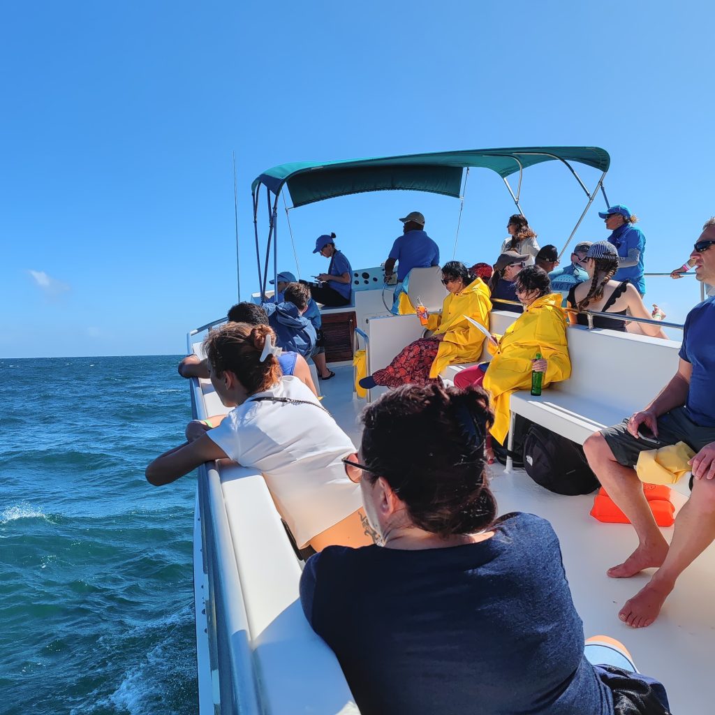 On a whale-watching tour in Samaná | Dominican Republic; Boca Chica and Samaná Peninsula | Elámää Nomadina blog