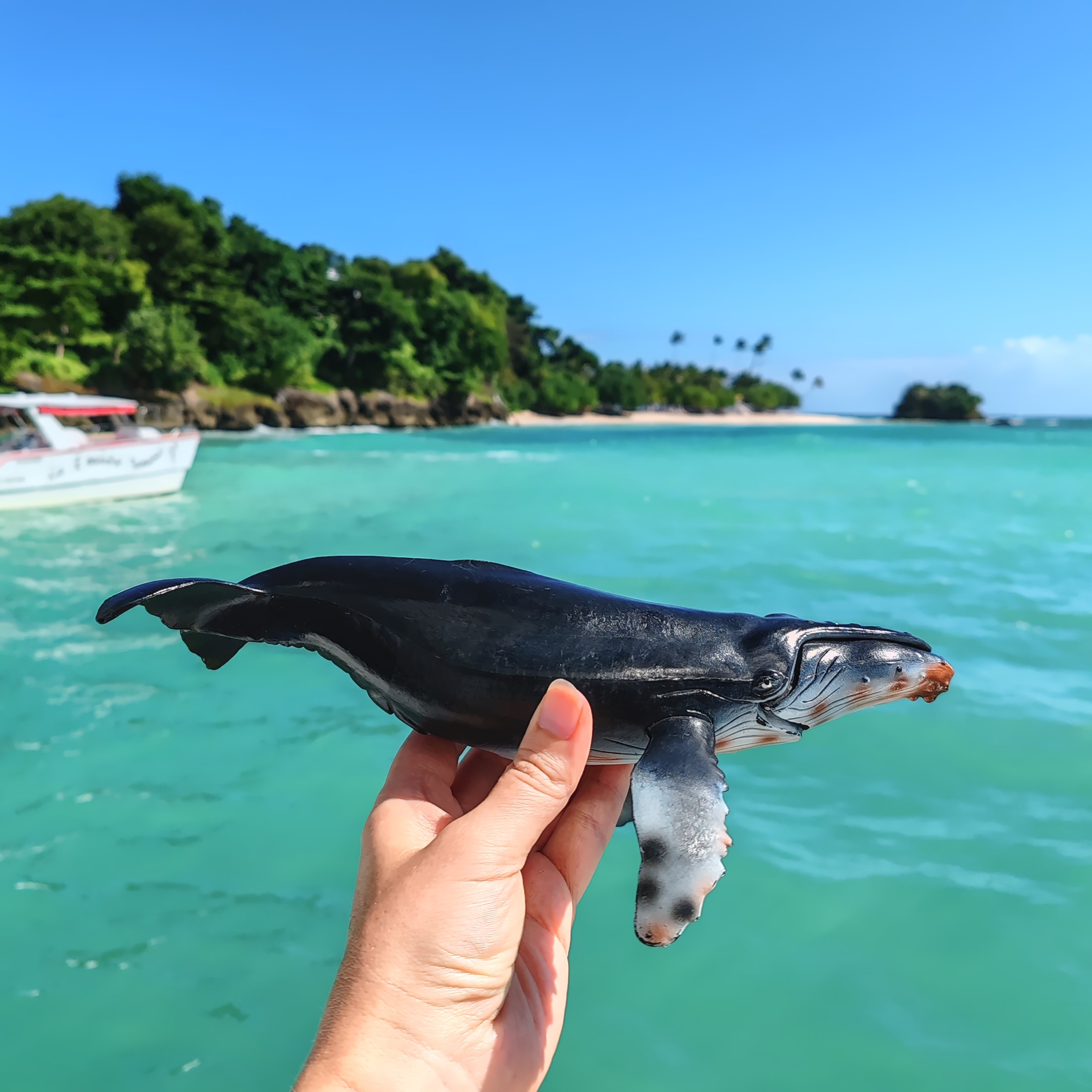 Valasretkellä Samanassa | Dominikaaninen tasavalta; Boca Chica ja Samanan niemimaa | Elämää Nomadina blogi