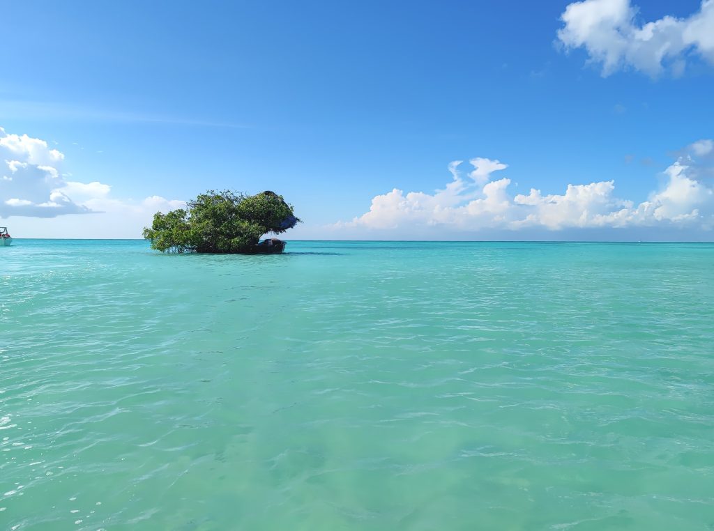 Isla Saona | Dominican Republic | Elämää Nomadina