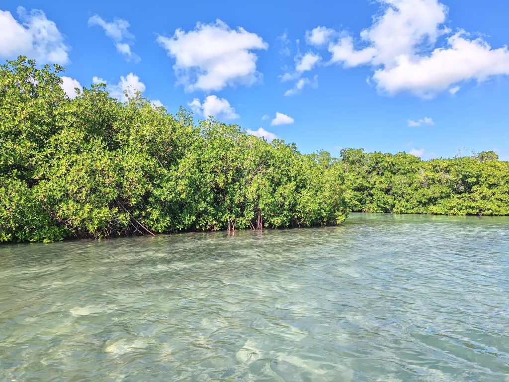 Isla Saona | Dominican Republic | Elämää Nomadina