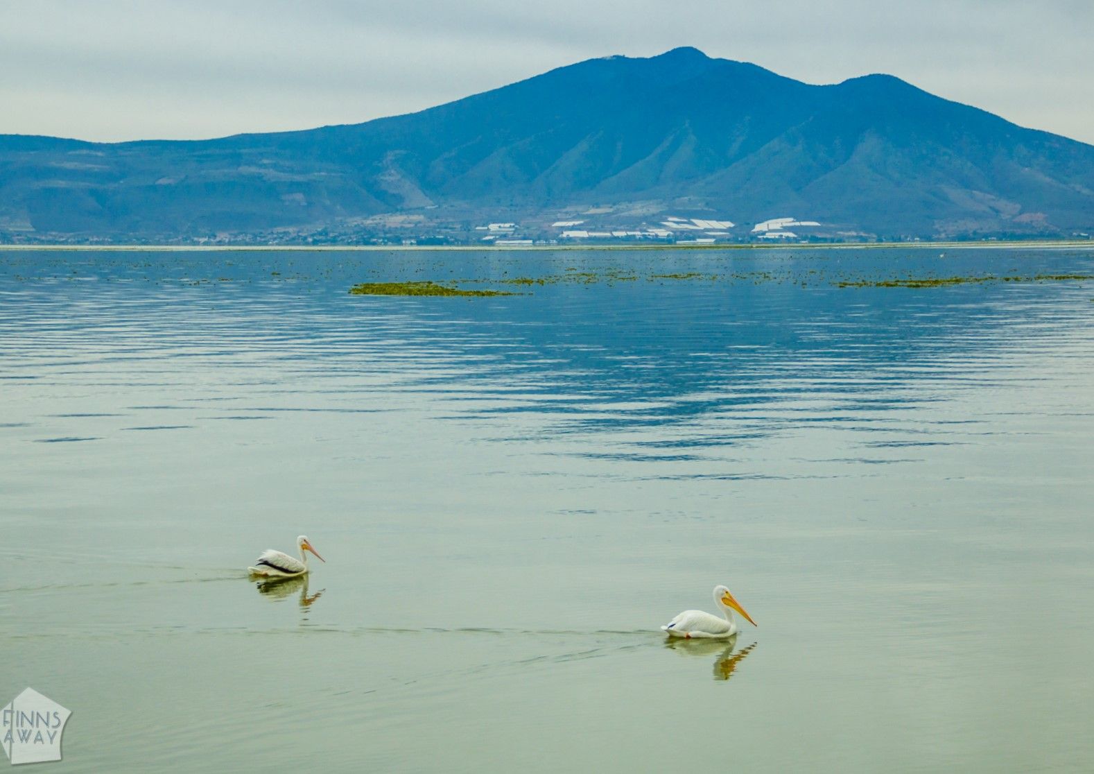 Lake Chapala, Mexico | FinnsAway Travel Blog