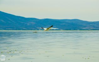 Lake Chapala, Mexico | FinnsAway Travel Blog