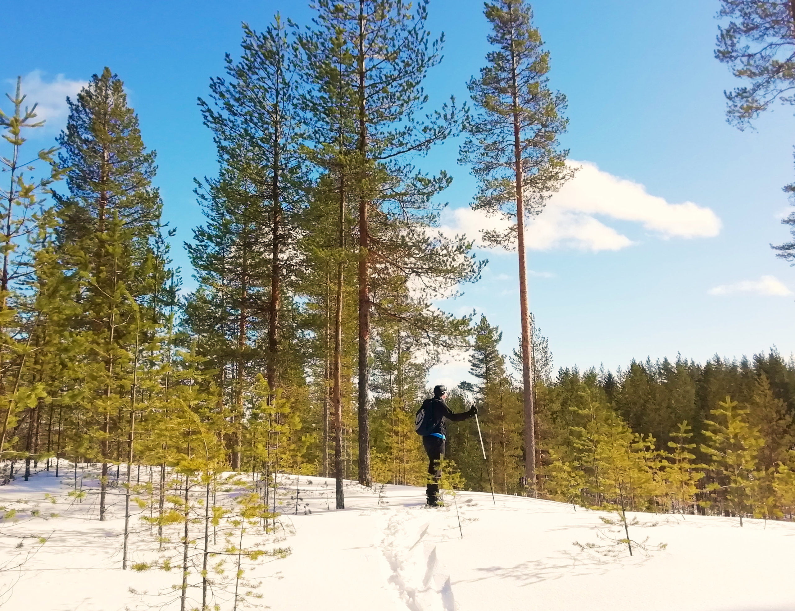 Snowshoeing in Rokua, Finland | FinnsAway