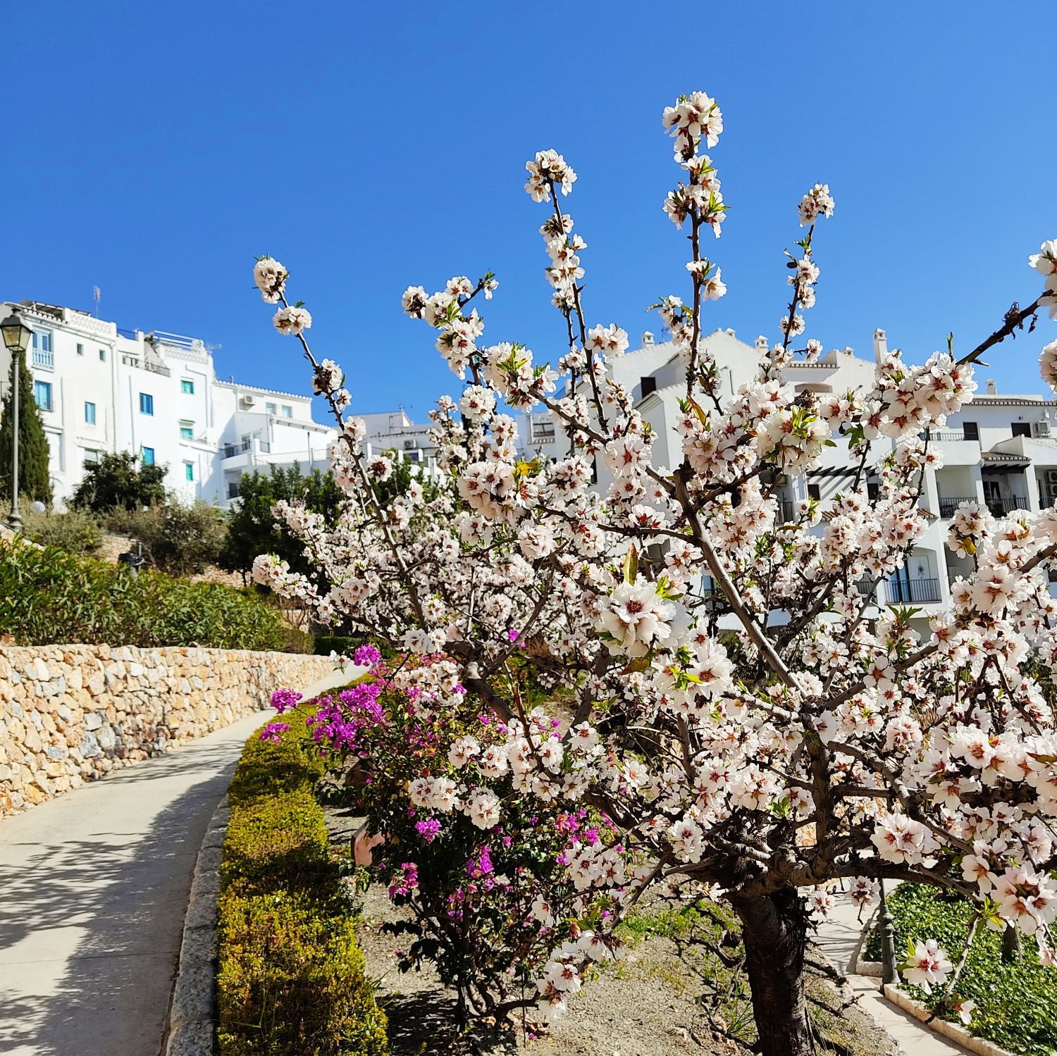 Frigiliana Spain | Summary of Nomad Year 2021 | FinnsAway Travel blog