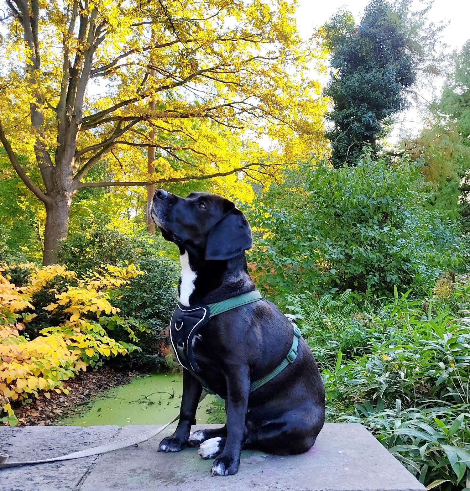 Berlin | Summary of Nomad Year 2021 | FinnsAway Travel blog