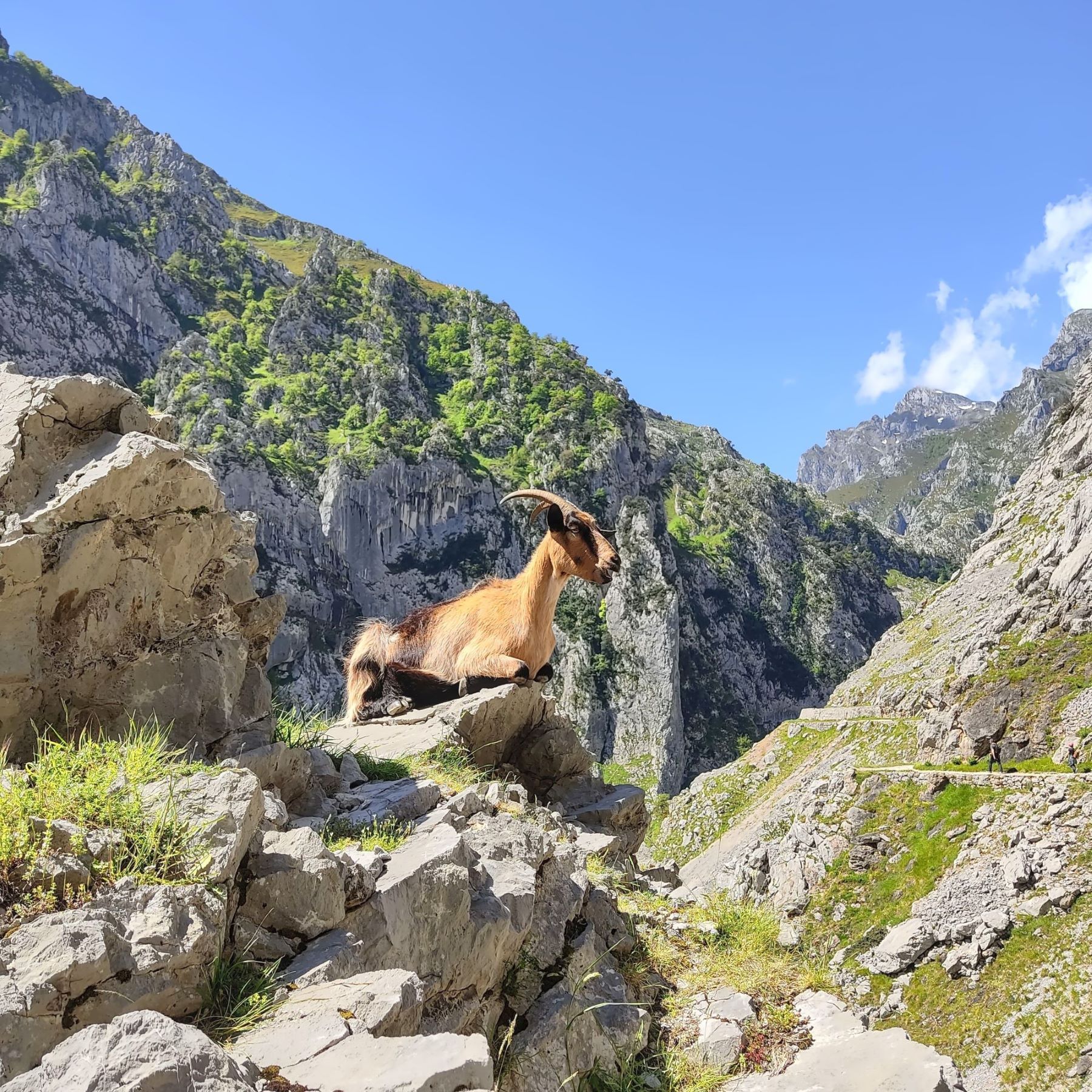 Picos de Europa Ruta del Cares | Summary of Nomad Year 2021 | FinnsAway Travel blog