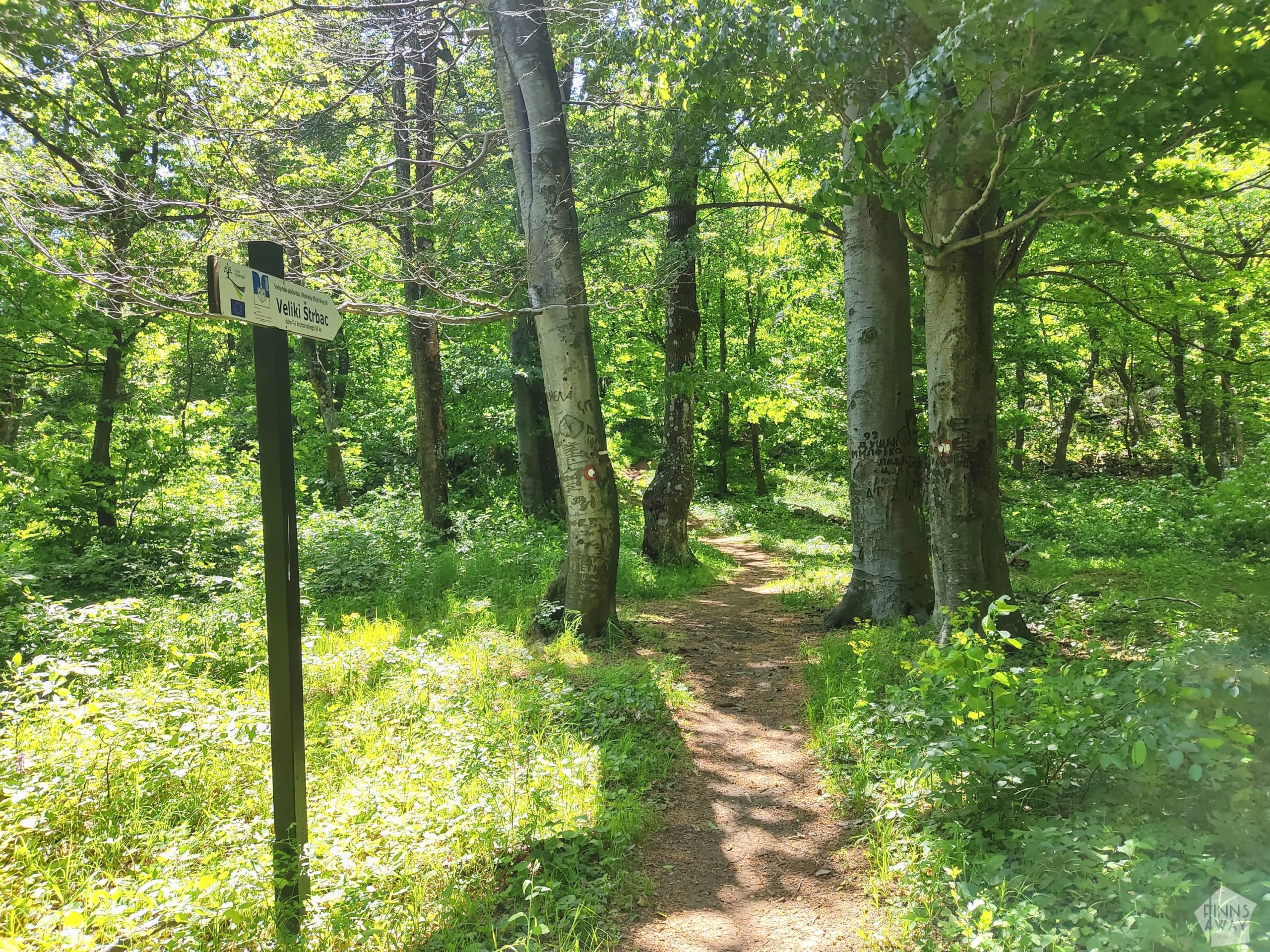 Hikintg trail in Djerdap National Park | Hiking trails and national parks in East Serbia | FinnsAway