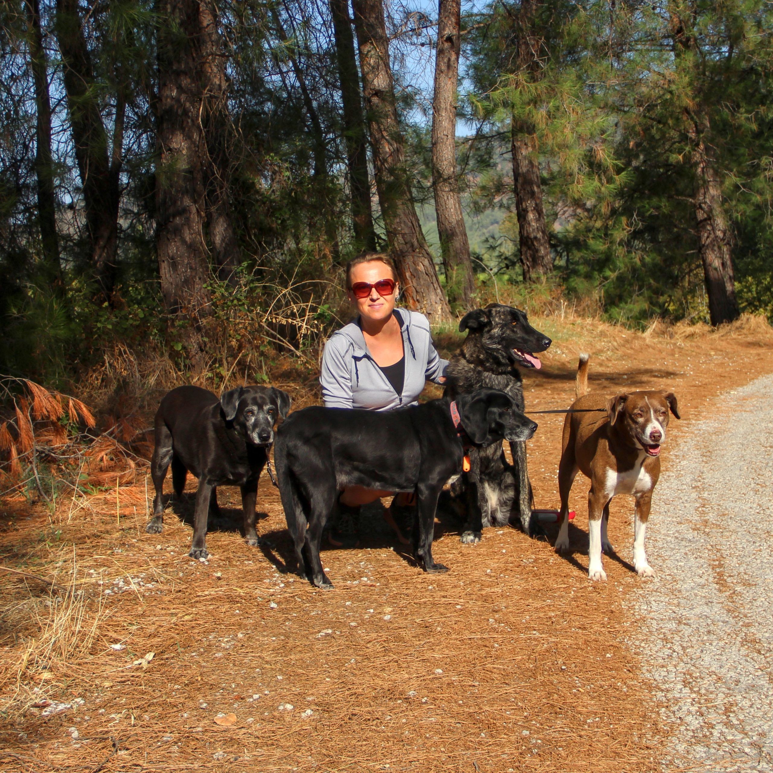 Dog-sitting in Turkey | Nomad year 2022 summary | FinnsAway Travel Blog