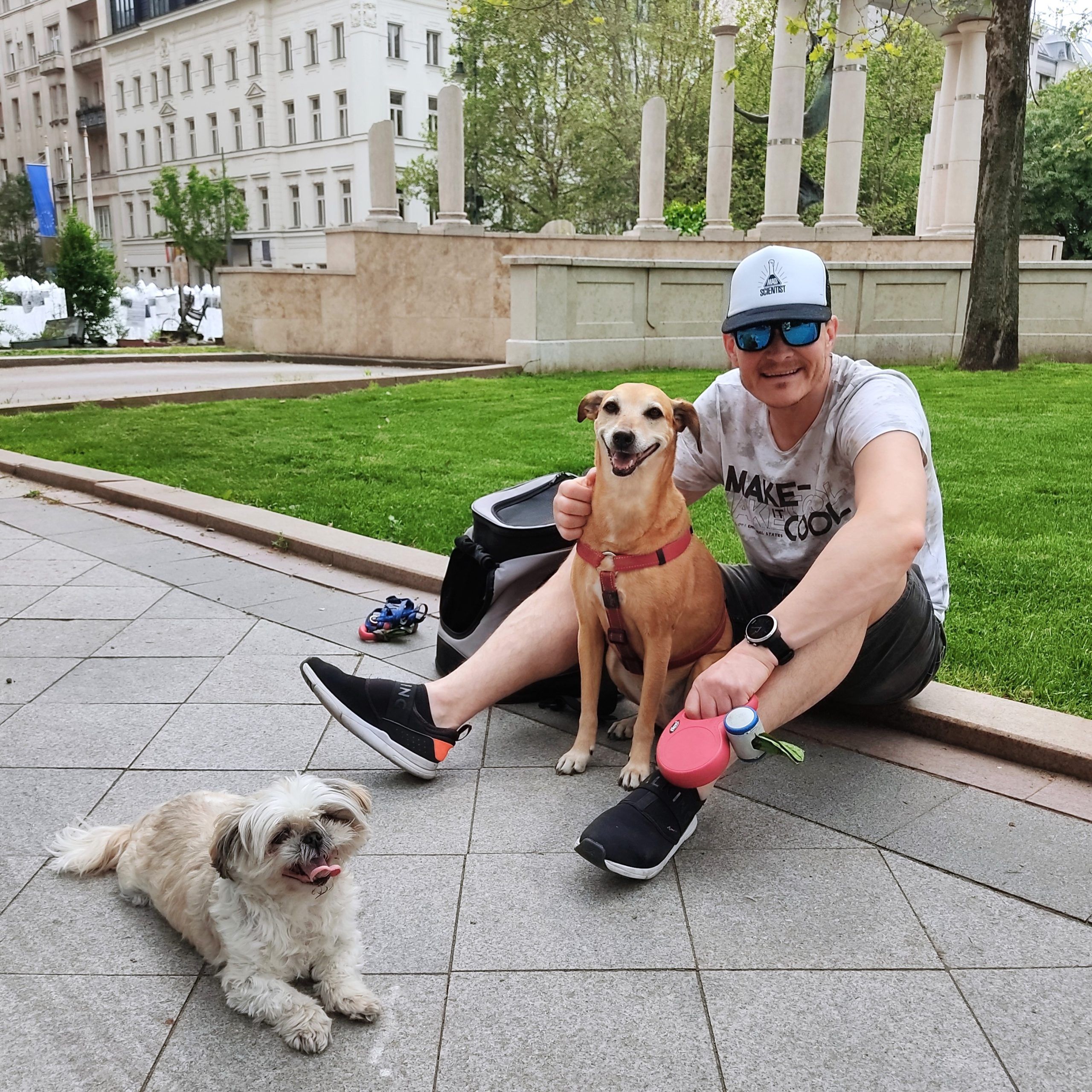 Dog-sitting in Budapest, Hungary | Nomad year 2022 summary | FinnsAway Travel Blog