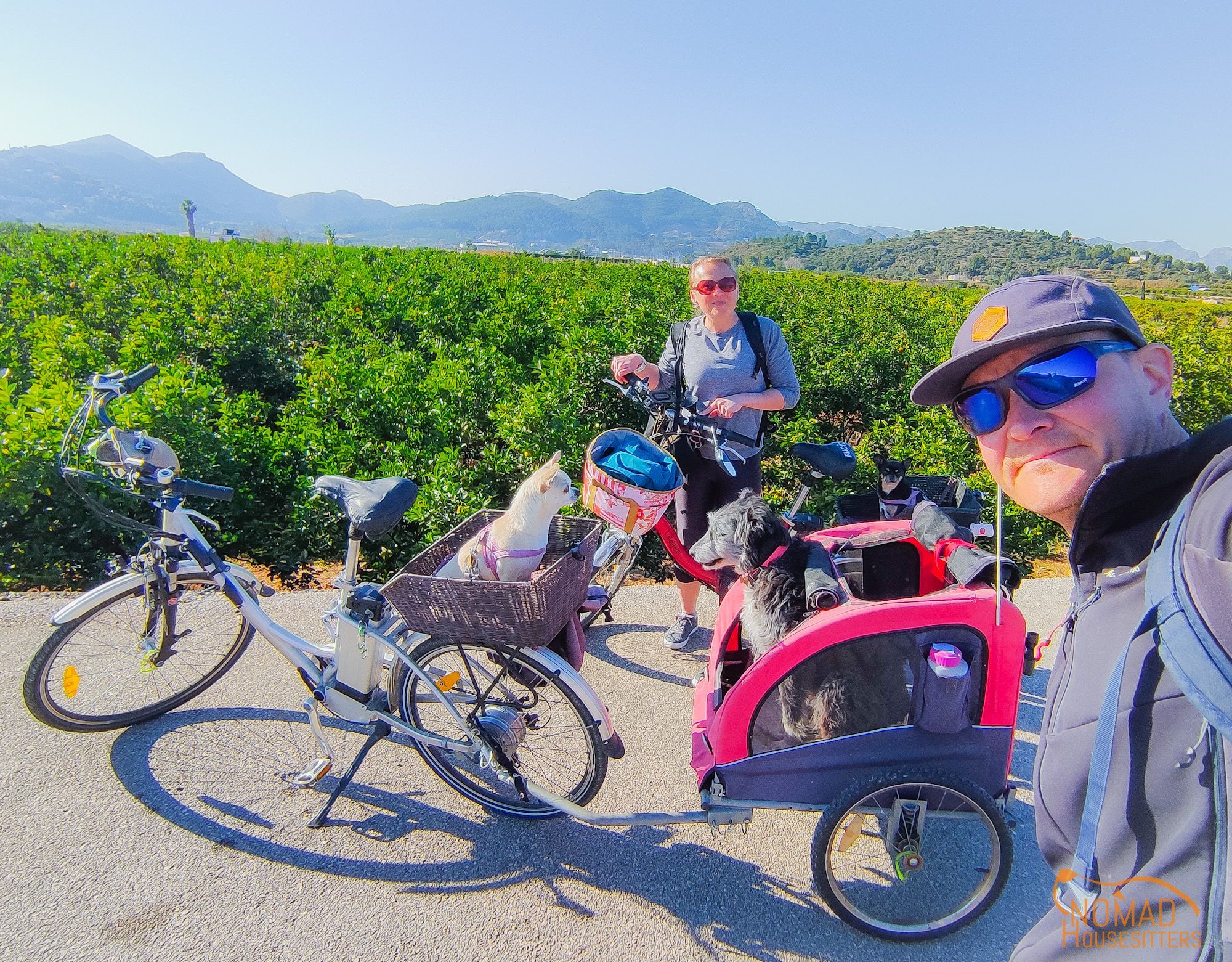 Dog-sitting in Valencia region, Spain | Nomad year 2022 summary | FinnsAway Travel Blog