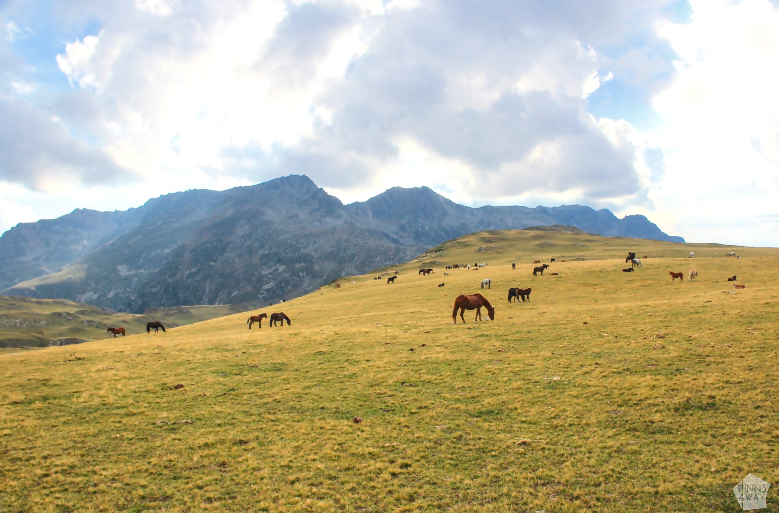 Grazing horses in a mountain valley | Hiking in Rila Mountains, Bulgaria | FinnsAway blog