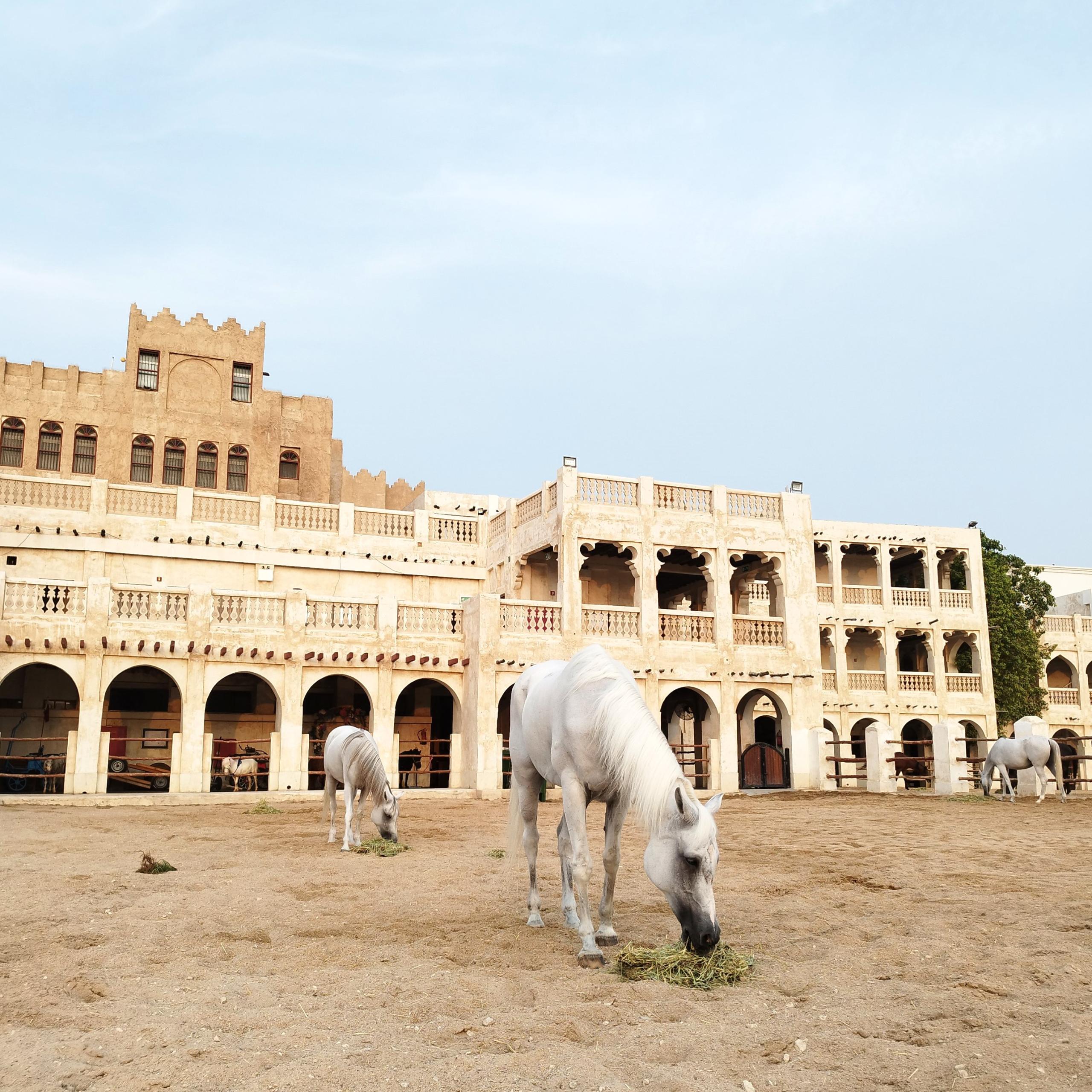 Horse stables, Souq Waqif, Doha | To East Africa via a stopover in Doha, Qatar | FinnsAway nomadic life