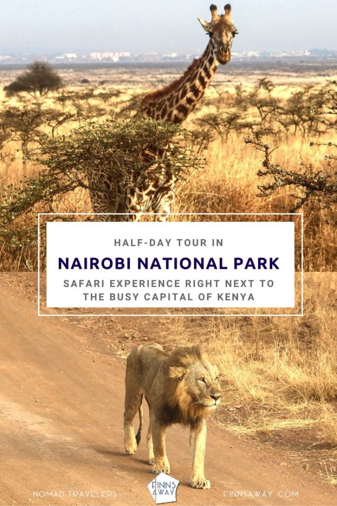 Nairobi National Park, Kenya | FinnsAway blog