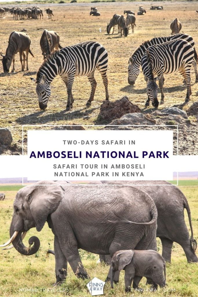 2-day safari in Amboseli National Park, Kenya | FinnsAway