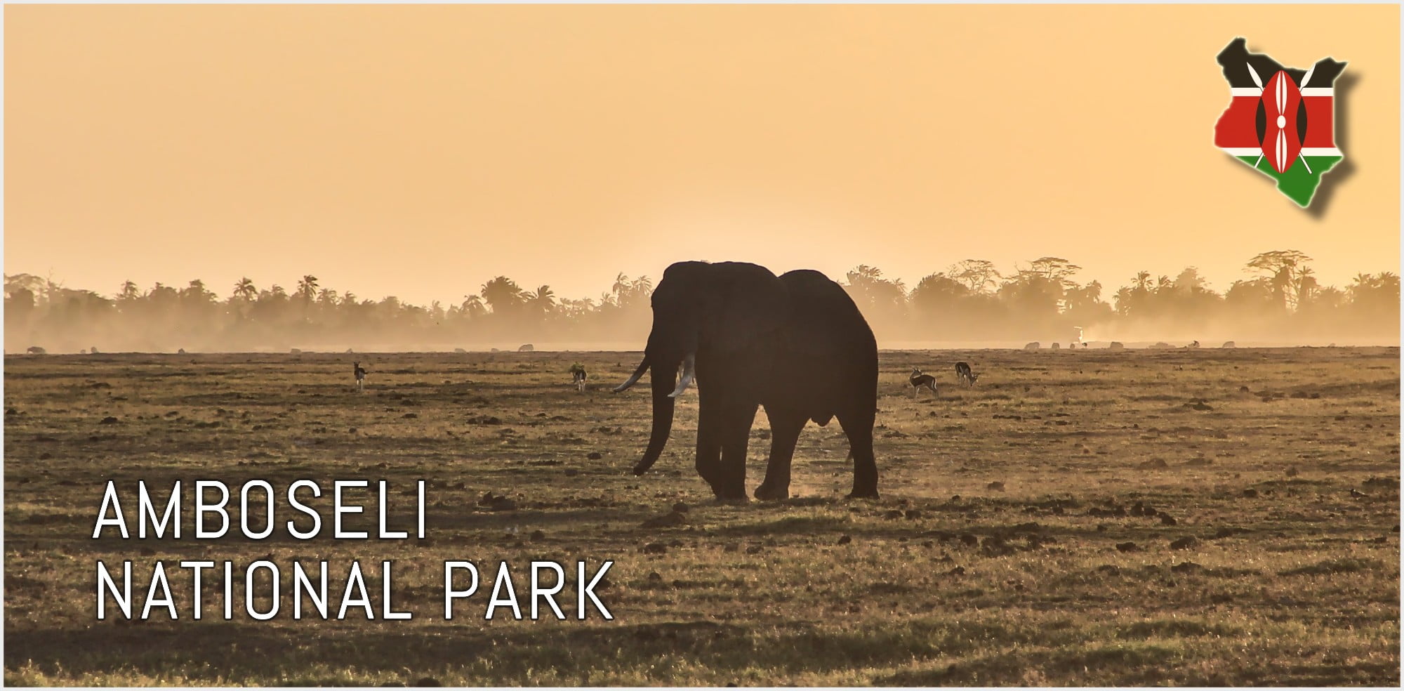 2-day safari in Amboseli National Park, Kenya | FinnsAway